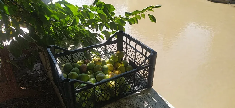 Oltu ve çevresinde gıda  kooperatif hazırlıkları 